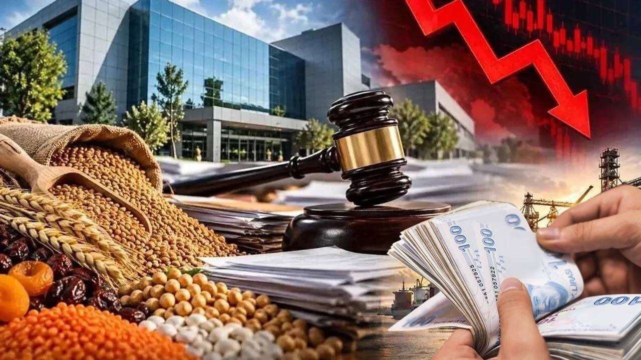Dünya buğday ticaretinde yüzde 1’den fazla paya sahipti: Türkiye'nin tarım devi resmen iflas etti 1